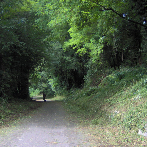 Attivit‡ del 28/06 n. 10 / 40245