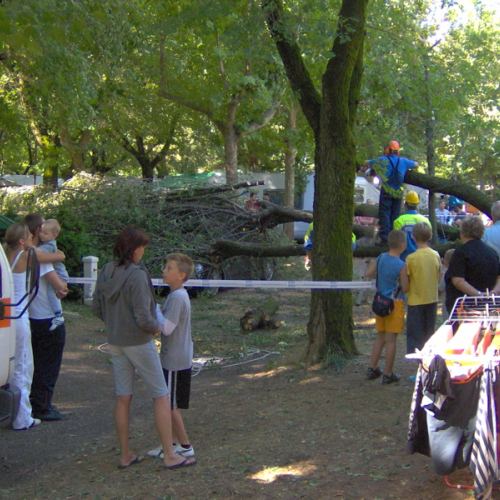 Campeggio di Lignano 3 / 27999