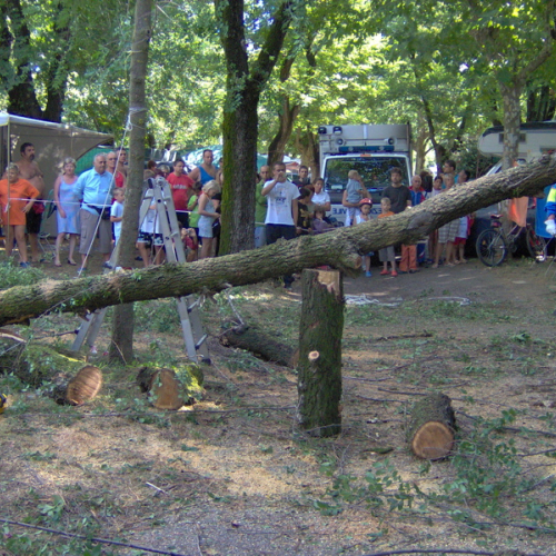Campeggio di Lignano 7 / 28003