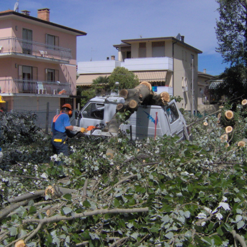 Campeggio di Lignano 11 / 28007