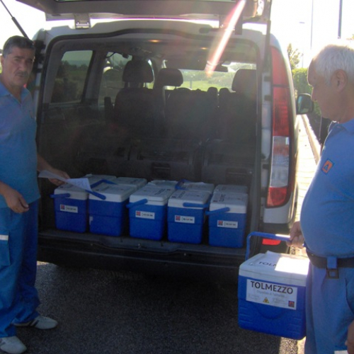 Trasporto sangue cordonale 31/07/2012 n. 3 / 84775