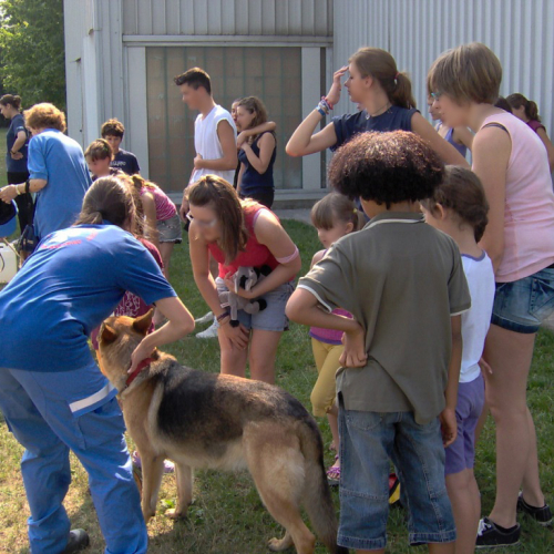 Attivit‡ 22/07 n. 16 / 54731