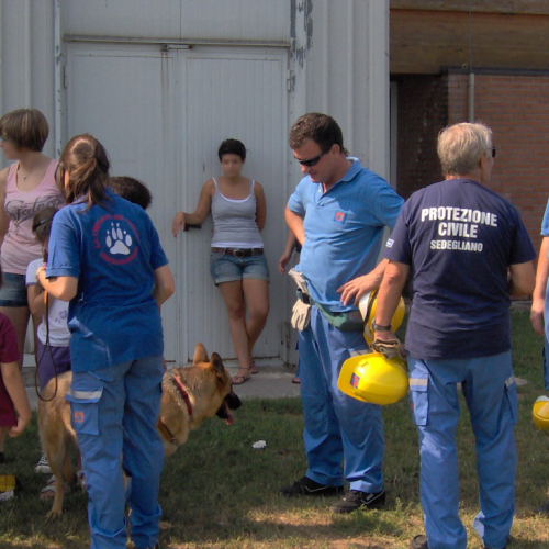 Attivit‡ 22/07 n. 18 / 54733