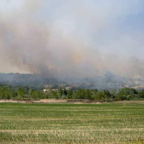 Attivit‡ antincendio in Abruzzo 2 / 15401