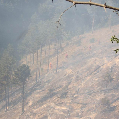 Attivit‡ antincendio in Abruzzo 11 / 15410