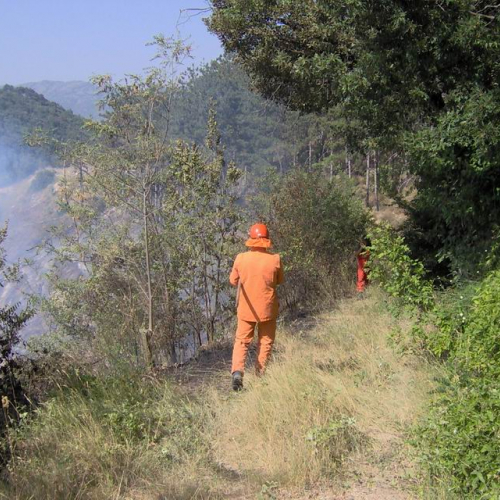 Attivit‡ antincendio in Abruzzo 12 / 15411