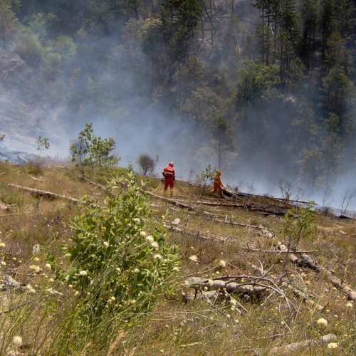 Attivit‡ antincendio in Abruzzo 15 / 15414