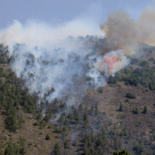 Attivit‡ antincendio in Abruzzo 16 / 15415