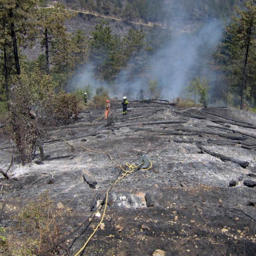Attivit‡ antincendio in Abruzzo 18 / 15417