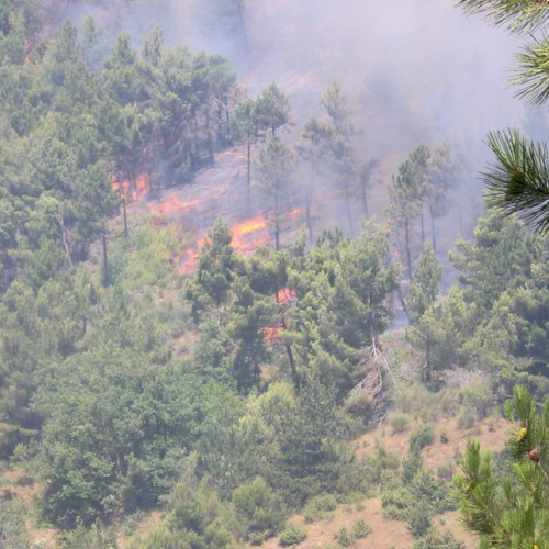 Attivit‡ antincendio in Abruzzo 19 / 15418