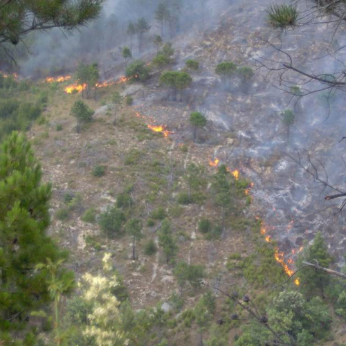 Attivit‡ antincendio in Abruzzo 20 / 15419