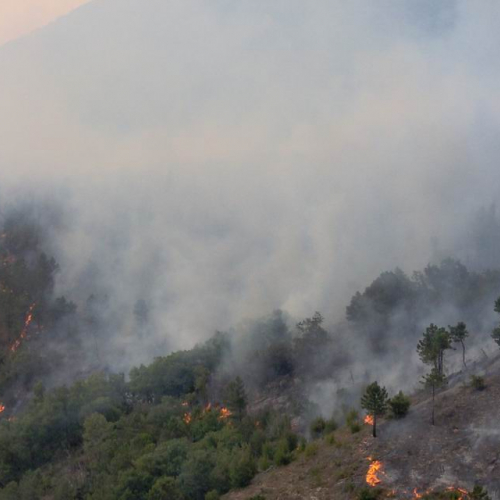 Attivit‡ antincendio in Abruzzo 23 / 15422