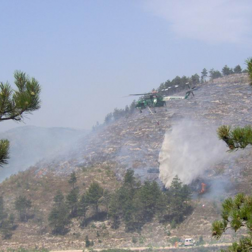 Attivit‡ antincendio in Abruzzo 27 / 15426
