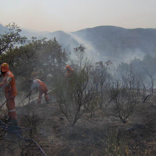 Attivit‡ antincendio in Abruzzo 36 / 15435