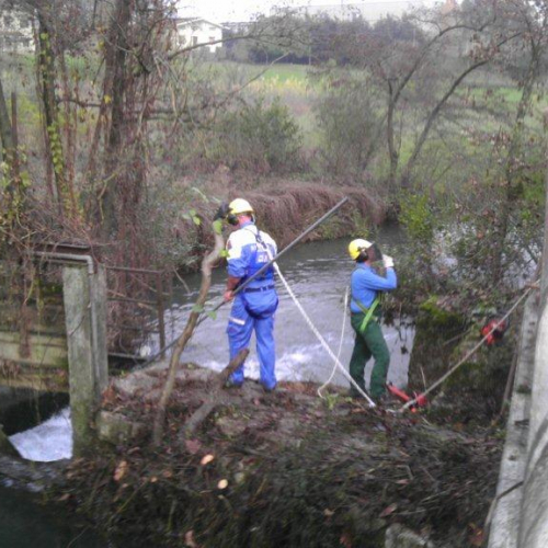 Attivit‡ Brugnera 24/11/12 n. 3 / 89350