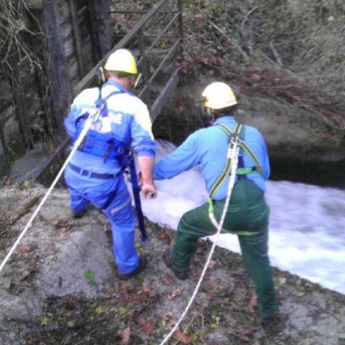 Attivit‡ Brugnera 24/11/12 n. 8 / 89355