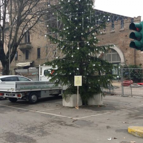 Albero di Natale a Mirandola / 102565