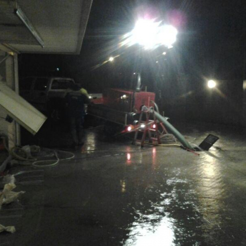 Interventi volontari n. 31 / 103798