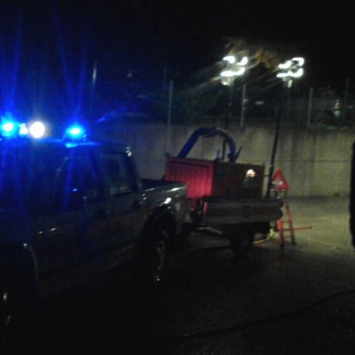 Interventi volontari n. 32 / 103799