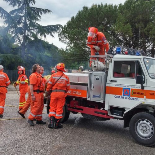 GORIZIA-AGESCI / 116367