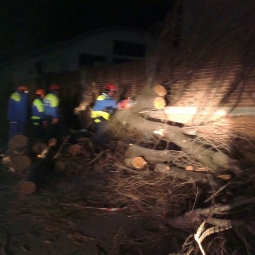 Interventi a causa della Bora foto n.20 / 112674