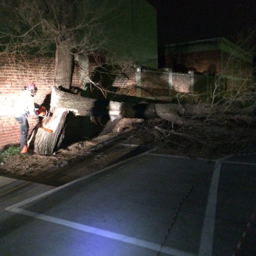 Interventi a causa della Bora foto n.21 / 112675