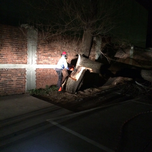 Interventi a causa della Bora foto n.22 / 112676