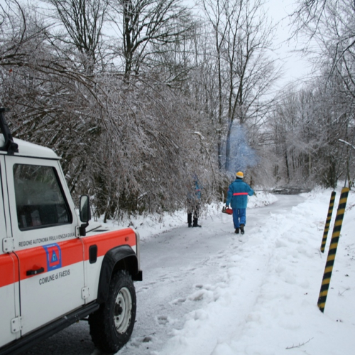 Rimozione alberi del 29/11 n. 5 / 32846