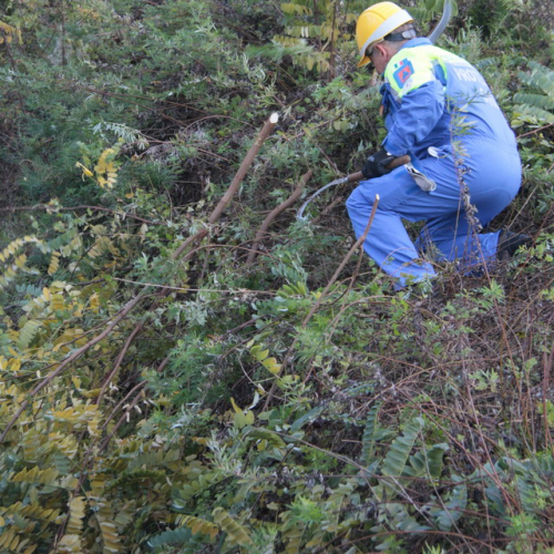 Esercitazione TORRENTE PATOC - RIVE D'ARCANO 2012" n. 6""sercitazione "TORRENTE PATOC - RIVE D'ARC""ercitazione "TORRENTE PATOC""rcitazione "TO""ci" / 88462