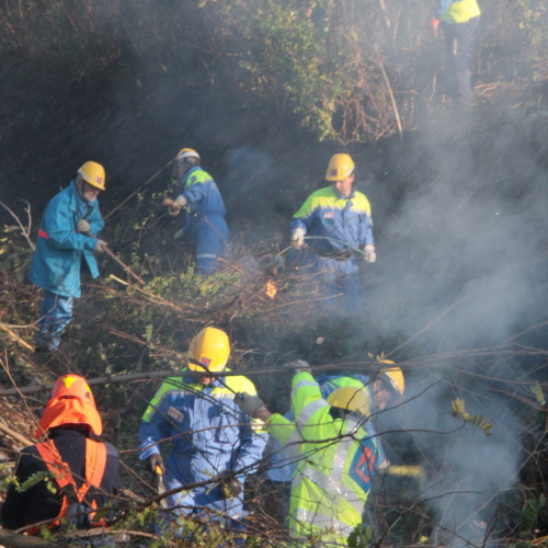 Esercitazione TORRENTE PATOC - RIVE D'ARCANO 2012" n. 8""sercitazione "TORRENTE PATOC - RIVE D'ARC""ercitazione "TORRENTE PATOC""rcitazione "TO""ci" / 88464