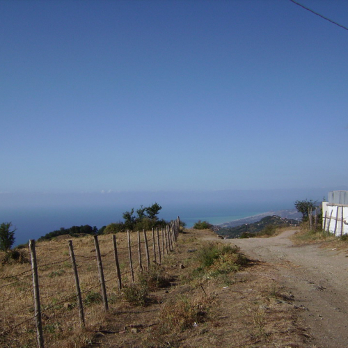 Turno 18/07-29/07 n. 15 / 41034