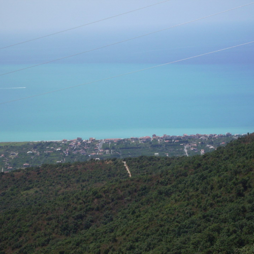 Turno 18/07-29/07 n. 16 / 41035