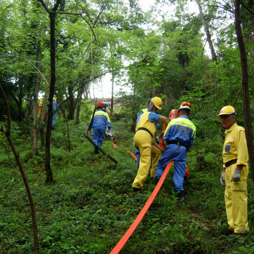 Esercitazione AIB 27/06 n. 4 / 40403