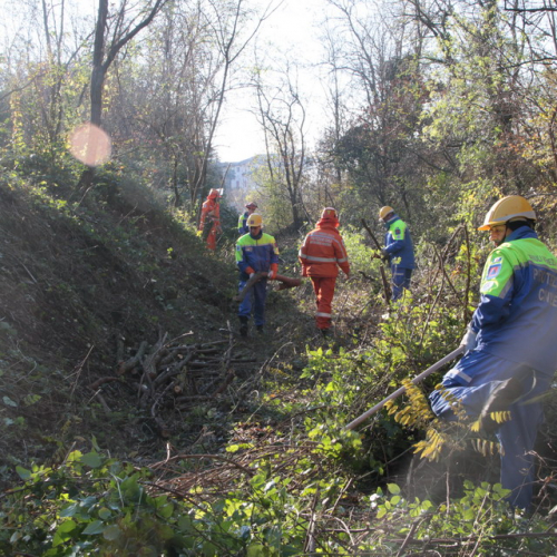 Esercitazione TORRENTE PATOC - RIVE D'ARCANO 2012" n. 13""sercitazione "TORRENTE PATOC - RIVE D'ARCA""ercitazione "TORRENTE PATOC ""rcitazione "TOR""cit" / 88469