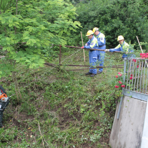 Esercitazione Ponte Pieli - San Daniele 2012" n. 19""sercitazione "Ponte Pieli - San Danie""ercitazione "Ponte Piel""rcitazione" / 83050
