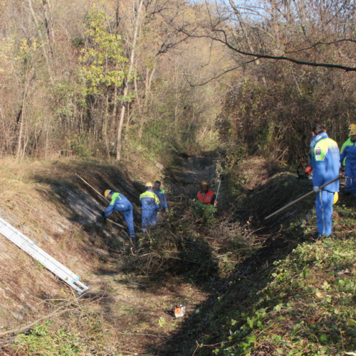 Esercitazione TORRENTE PATOC - RIVE D'ARCANO 2012" n. 16""sercitazione "TORRENTE PATOC - RIVE D'ARCA""ercitazione "TORRENTE PATOC ""rcitazione "TOR""cit" / 88472