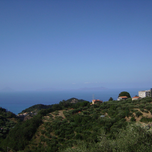 Turno 18/07-29/07 n. 20 / 41039