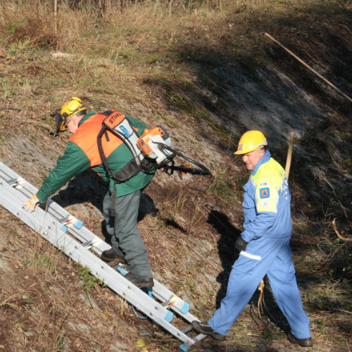 Esercitazione TORRENTE PATOC - RIVE D'ARCANO 2012" n. 18""sercitazione "TORRENTE PATOC - RIVE D'ARCA""ercitazione "TORRENTE PATOC ""rcitazione "TOR""cit" / 88474