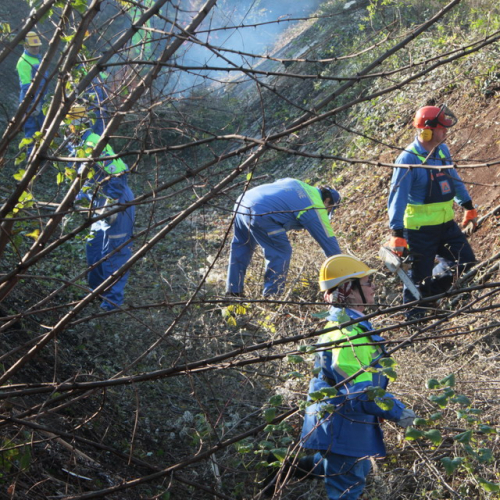 Esercitazione TORRENTE PATOC - RIVE D'ARCANO 2012" n. 20""sercitazione "TORRENTE PATOC - RIVE D'ARCA""ercitazione "TORRENTE PATOC ""rcitazione "TOR""cit" / 88476