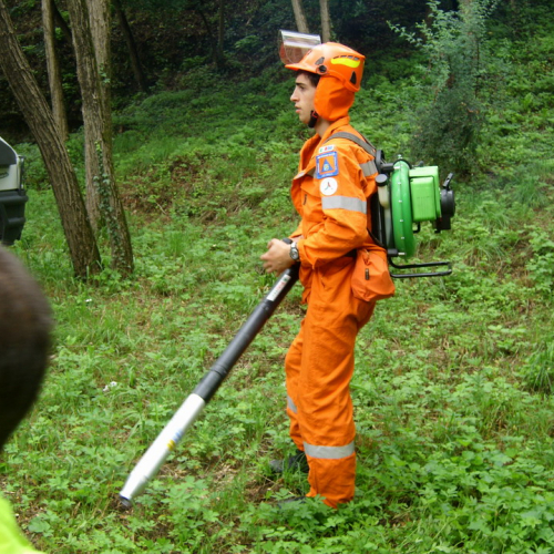 Esercitazione AIB 27/06 n. 8 / 40407