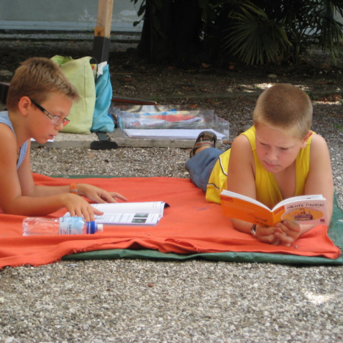 Bibliogiardino n. 21 / 29054