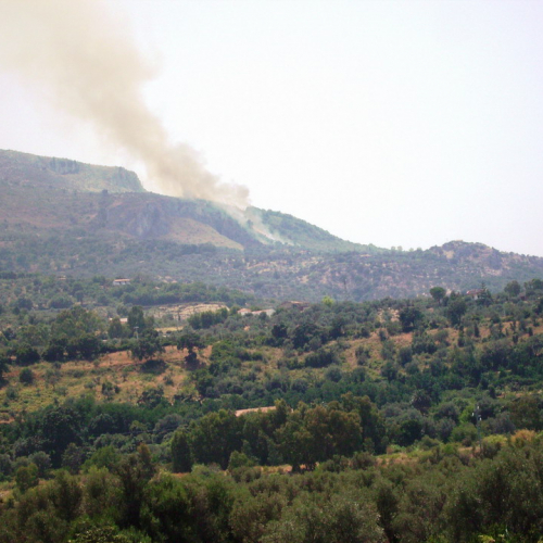 Incendio 25/07 n. 13 / 41079