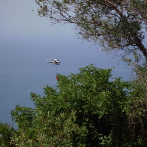 Incendio 25/07 n. 17 / 41083