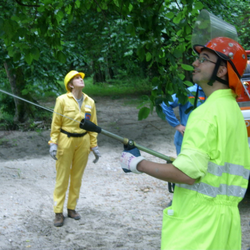 Esercitazione AIB 27/06 n. 16 / 40415