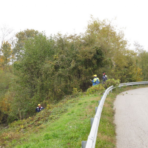 Attivit‡ 14/11 n. 2 / 45203
