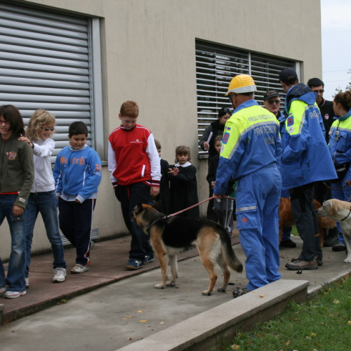 evacuazione scuole 29 sett. f. 11 / 17382