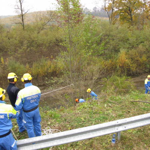 Attivit‡ 14/11 n. 7 / 45208