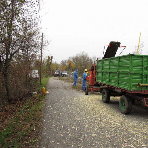 Attivit‡ di prevenzione 21/11 n. 3 / 45390