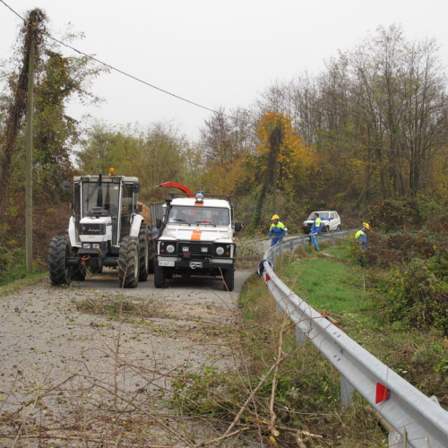 Attivit‡ di prevenzione 21/11 n. 4 / 45391