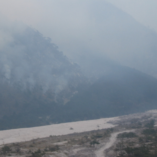 Incendio boschivo a Illegio di Tolmezzo n. 5 / 79499